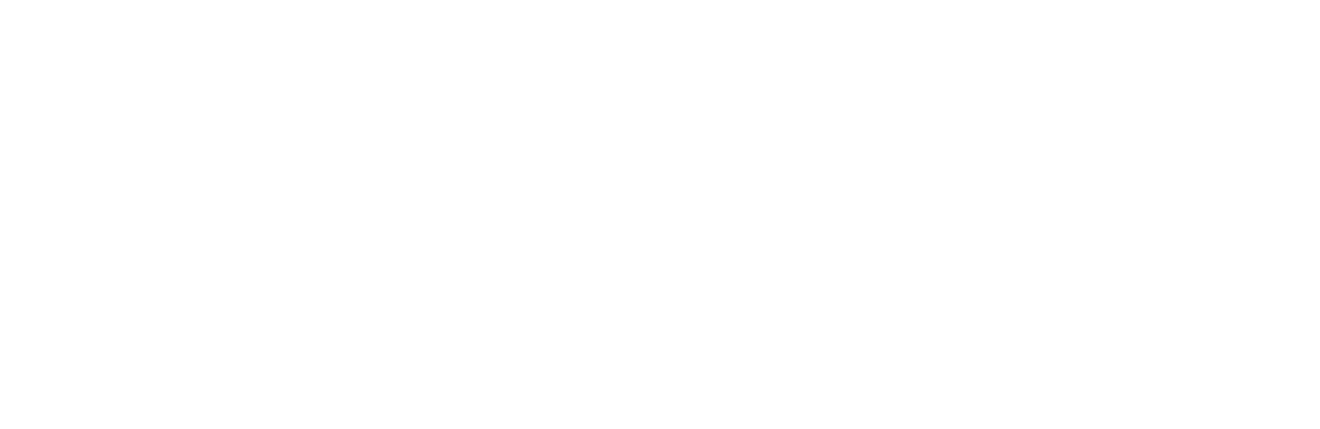 Cleverfox Company Logo